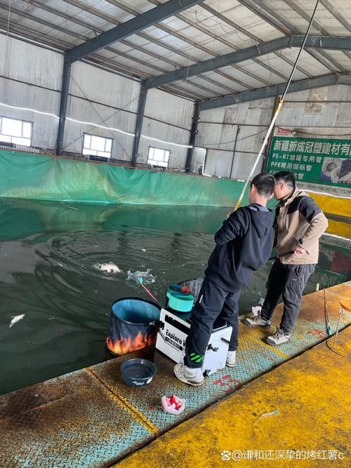 龍魚麻醉運輸方法有哪些圖片