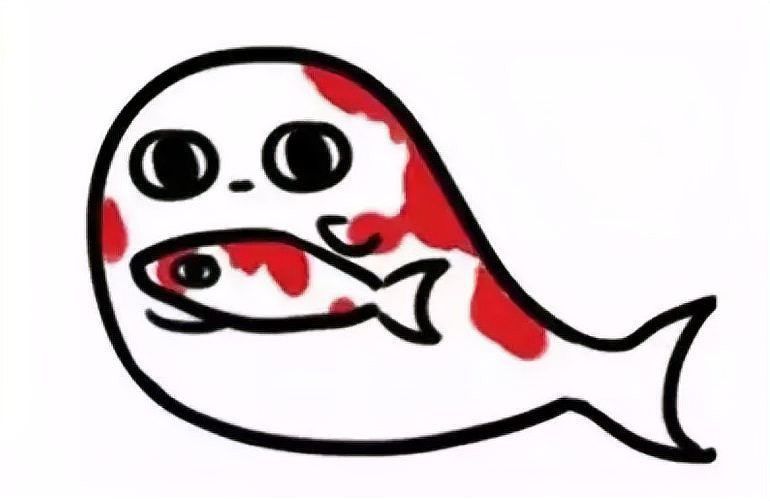 大湖龍魚是什么意思網絡用語