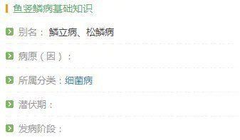 如何判斷金魚是否患有松鱗病？