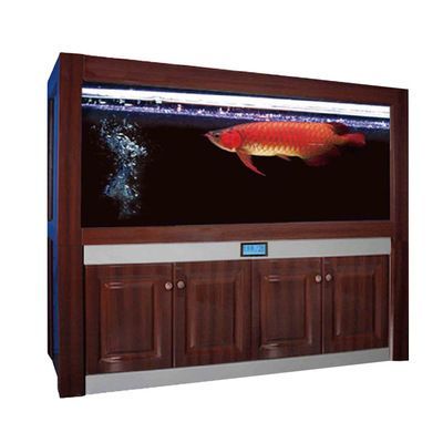 匯龍魚缸售后服務(wù)電話【匯龍魚缸售后服務(wù)電話如何查詢】