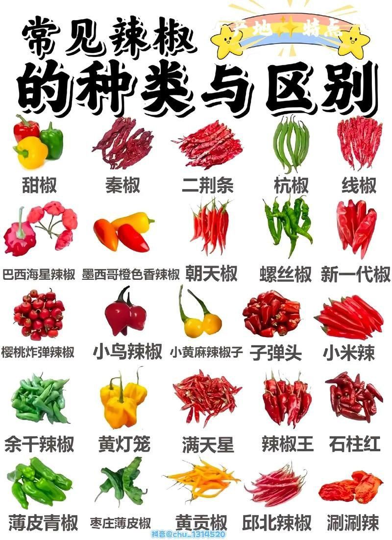 辣椒品種展示圖片