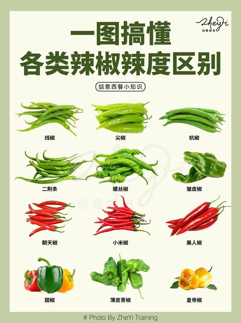 辣椒品種展示圖片