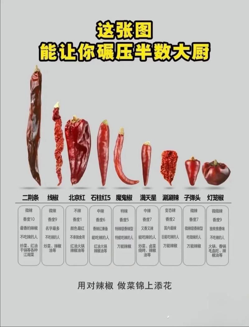 辣椒品種展示圖片