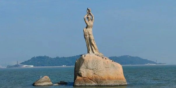 珠海龍魚寄養中心在哪里有