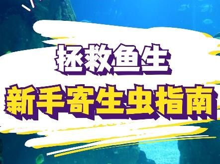 如何預防龍魚感染體外寄生蟲？