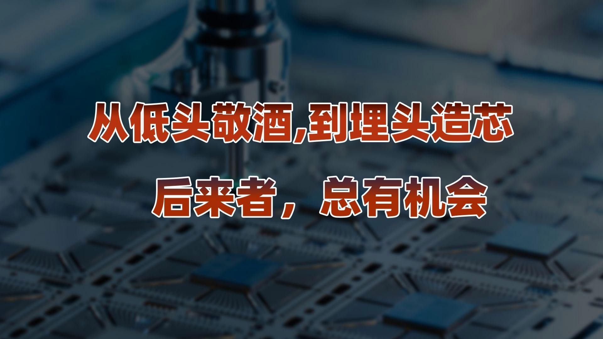 帝龍芯片的未來發展規劃是什么？
