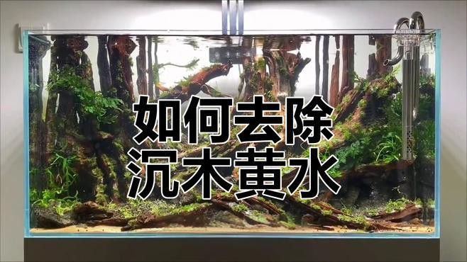 沉木黃水一般多久會消失