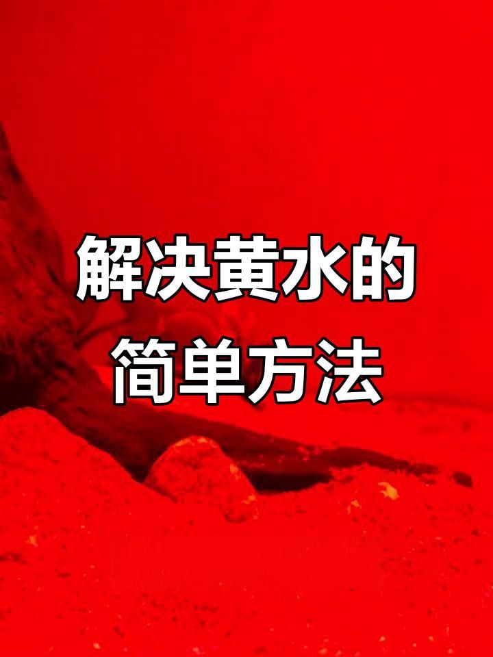 沉木黃水一般多久會消失