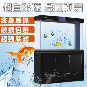 世界最貴的紅龍魚多少錢一斤啊（世界最貴的紅龍魚多少錢一斤啊圖片）