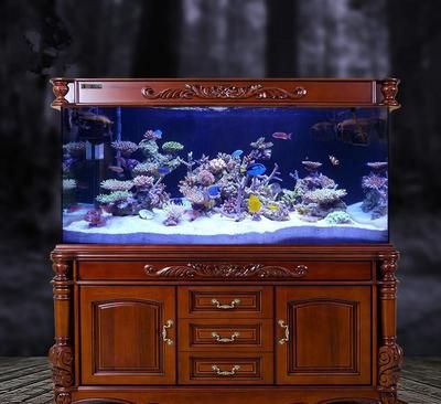 古典金龍魚用什么顏色缸（關于金龍魚魚缸顏色的選擇）
