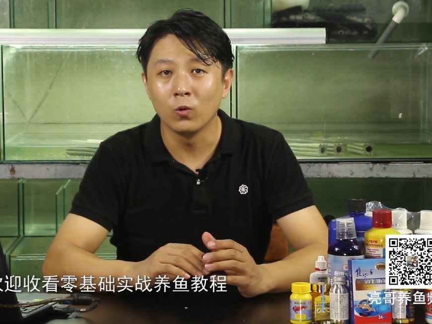 龍魚蒙眼最怕三個原因