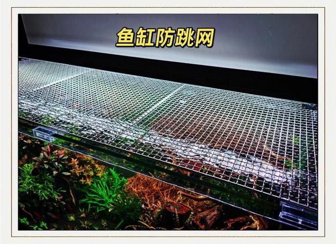 有哪些有效的防跳網(wǎng)推薦？