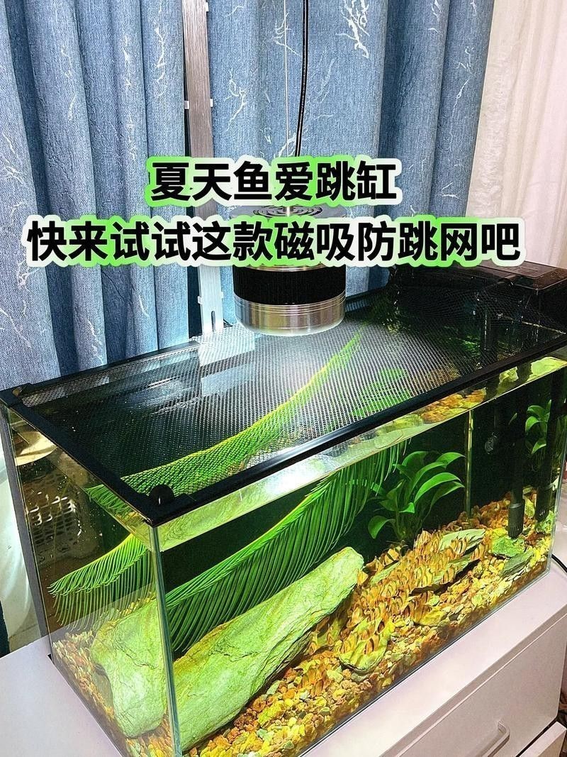 有哪些有效的防跳網(wǎng)推薦？
