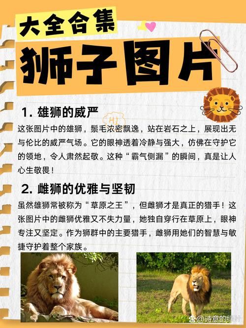 能推薦一些異獸流小說(shuō)嗎？