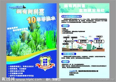 魚缸產(chǎn)品廣告宣傳語(yǔ)（樂(lè)游魚缸的家庭裝飾效果）