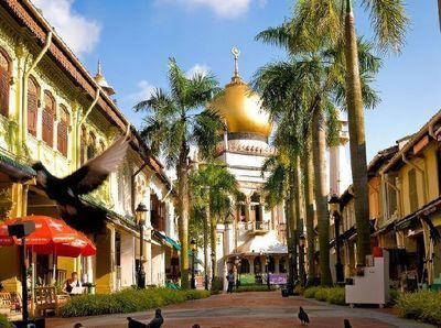 什么是龍魚花鱗紋：小葉紫檀中龍鱗紋和魚鱗紋的區別