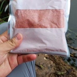 釣龍魚用什么誘餌最好，