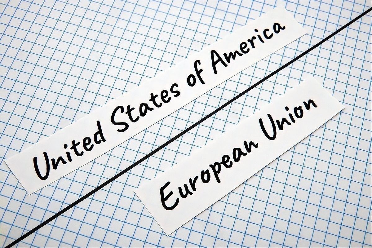 龍魚缸能養(yǎng)金魚嗎