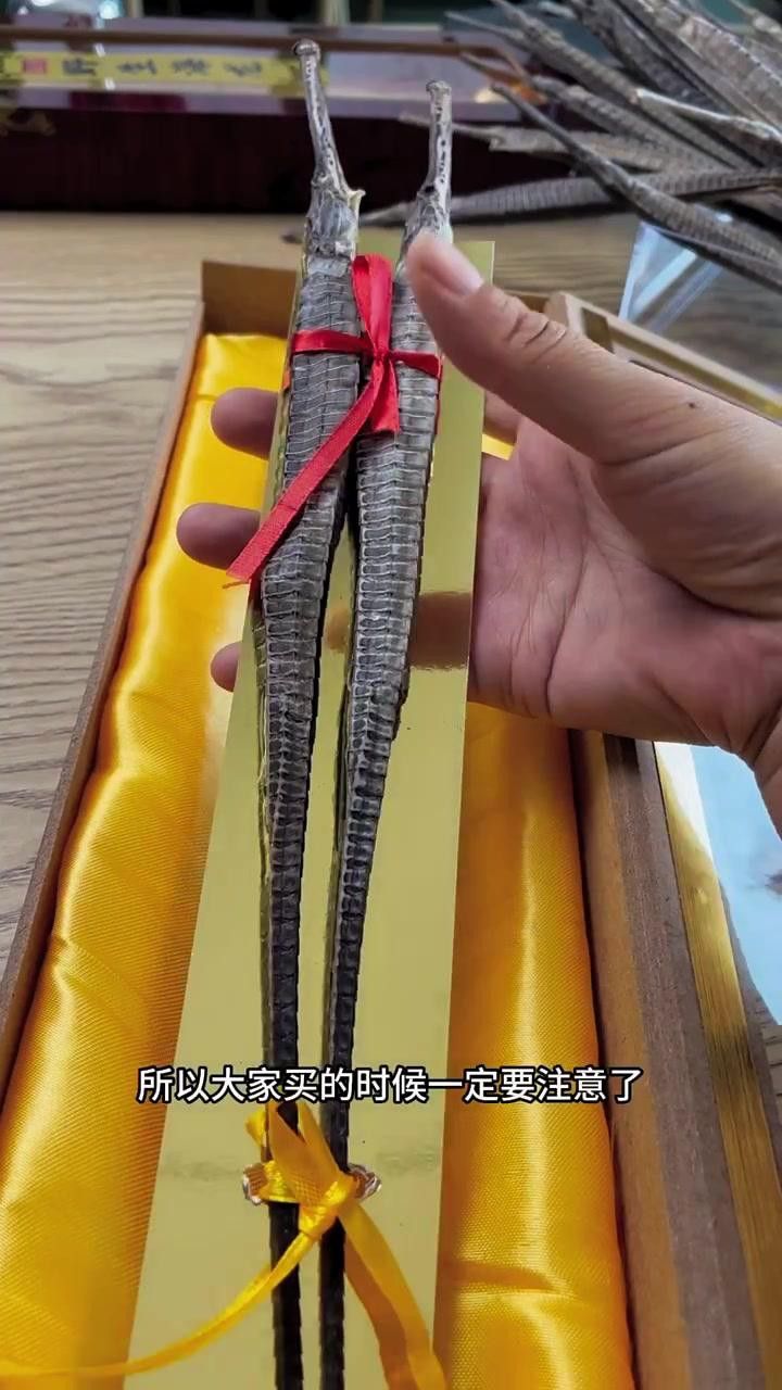 如何挑選新鮮的海龍？