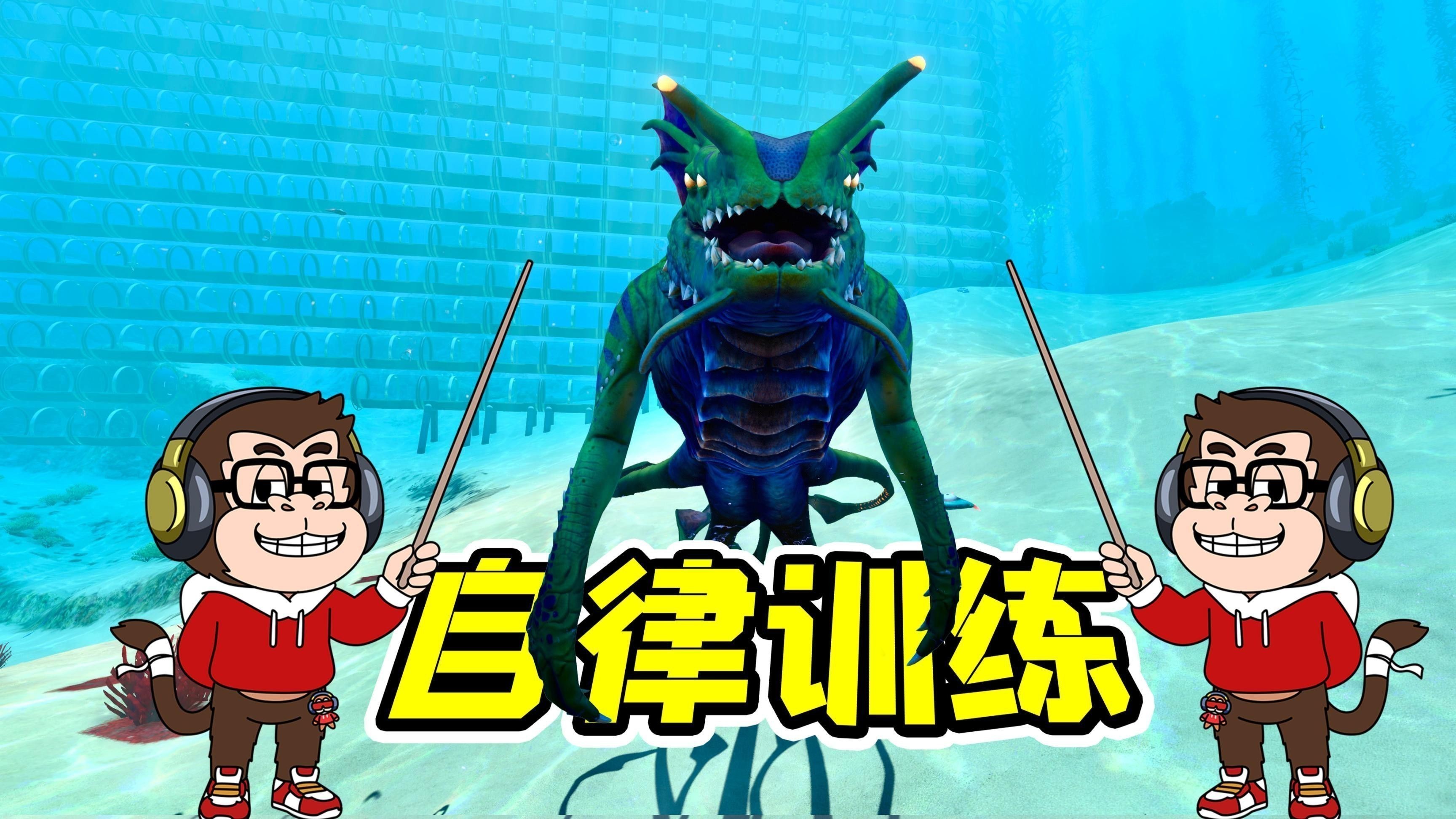 如何挑選新鮮的海龍？