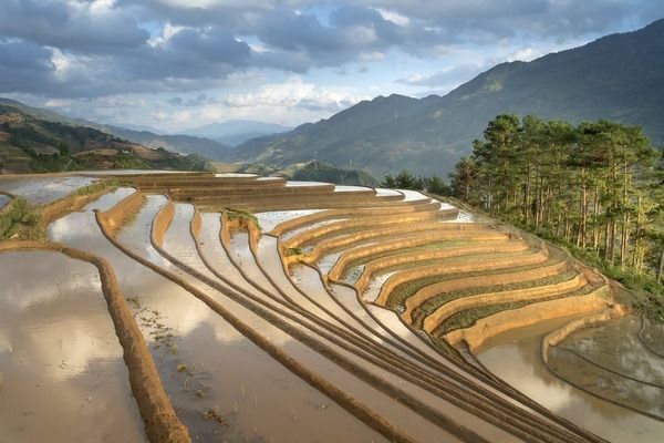 金龍魚用白燈的好處，如何提升金龍魚金質