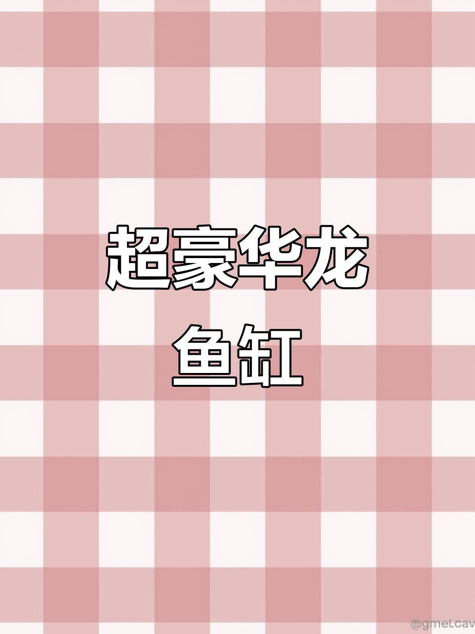 哪款龍魚魚缸性價比最高？