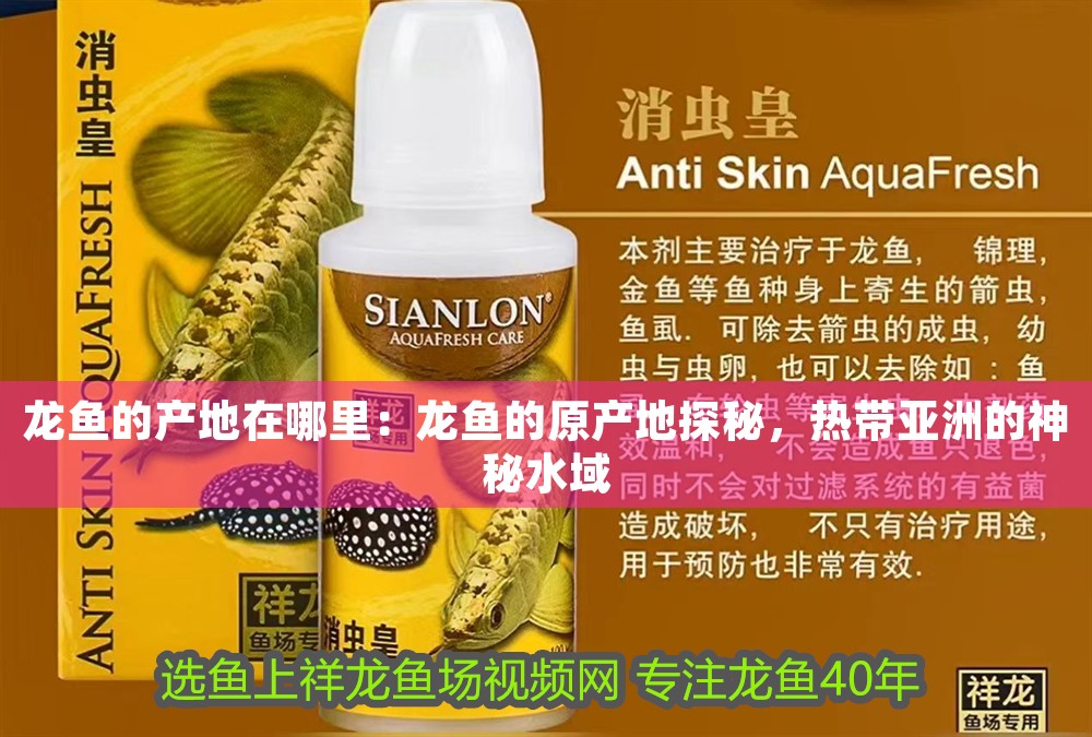 龍魚的產地在哪里：龍魚的原產地探秘，熱帶亞洲的神秘水域 龍魚的產地在哪里：龍魚的原產地探秘，熱帶亞洲的神秘水域 龍魚百科 第1張