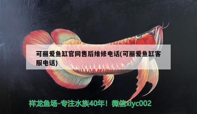 可麗愛(ài)魚(yú)缸售后維修電話是多少號(hào)碼，可麗愛(ài)魚(yú)缸售后維修電話是400-8888
