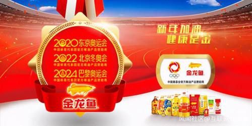 金龍魚牌子怎么樣圖片