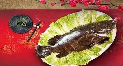 龍魚永得水是什么意思（“龍魚永得水”是什么意思？）