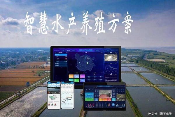 紅龍魚品牌有哪些產品名稱圖片：紅龍魚品牌及其產品名稱全解析