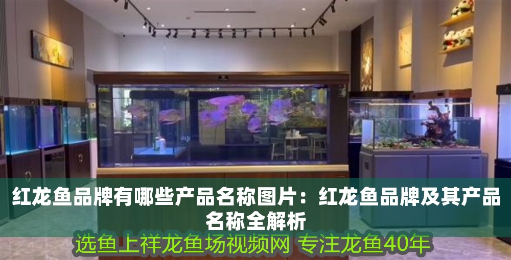 紅龍魚品牌有哪些產品名稱圖片：紅龍魚品牌及其產品名稱全解析