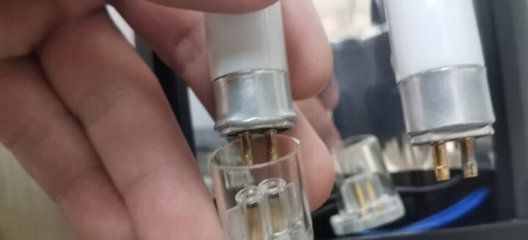 龍魚頂燈用什么燈好：龍魚的頂燈選擇指南