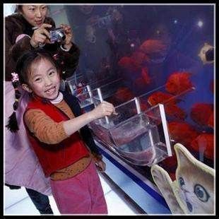 負(fù)壓魚缸怎么喂食，如何自制負(fù)壓魚缸投食器