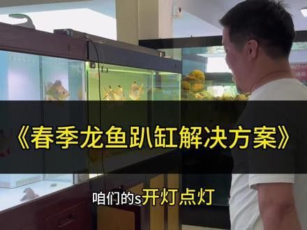 紅龍魚趴缸怎么回事兒
