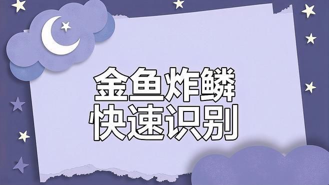 如何判斷魚是否患有炸鱗??？