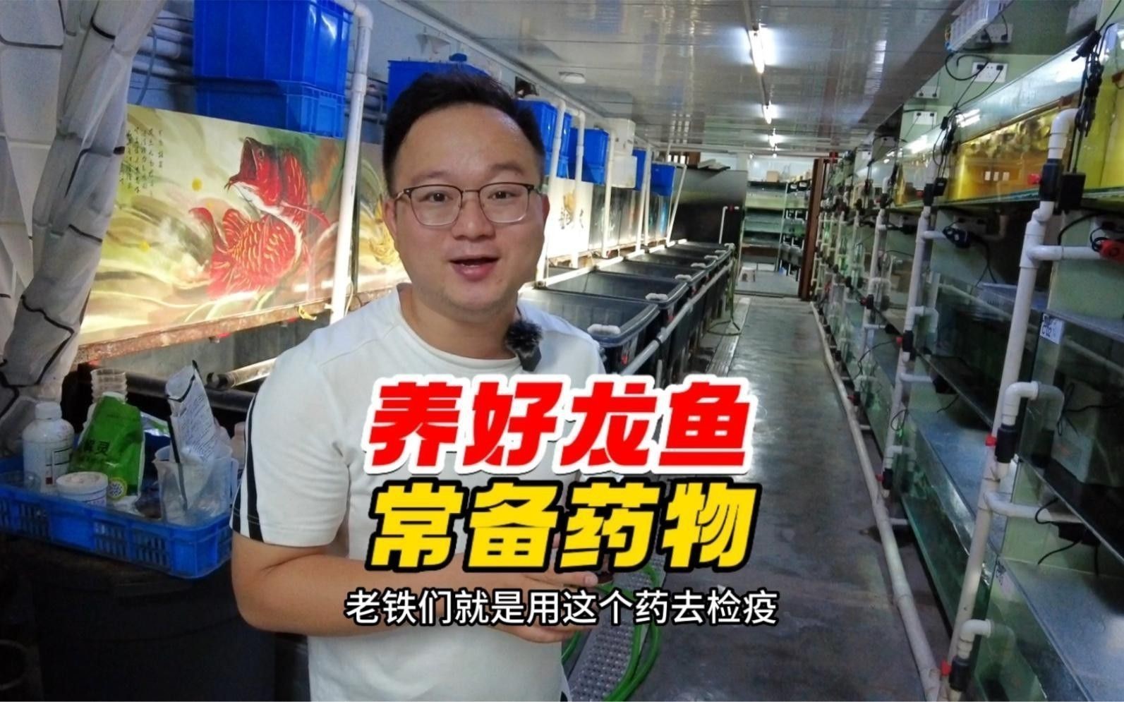 如何預防龍魚常見疾病？