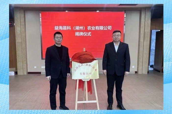 金龍魚的社會責任實踐有哪些