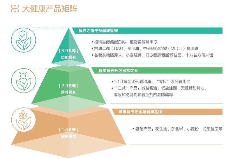 金龍魚的社會責任實踐有哪些