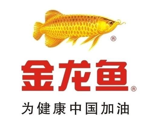 金龍魚防偽標志在哪里看：金龍魚防偽標志的識別方法