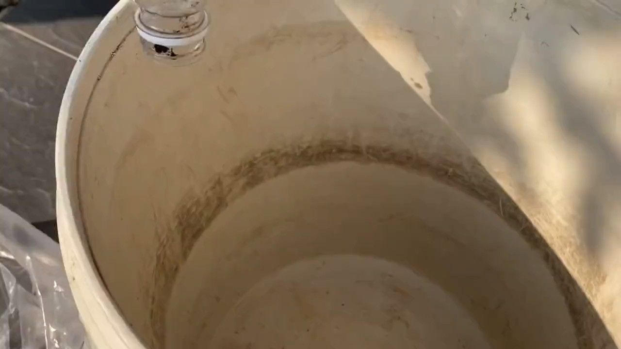 如何處理喂給龍魚的蜈蚣？