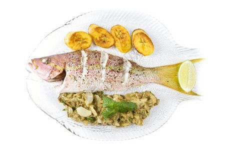龍魚混養(yǎng)的龜有哪些：幾種適合與龍魚混養(yǎng)的龜類