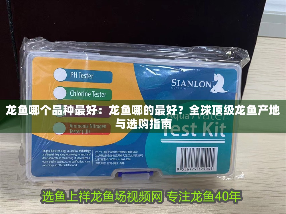 龍魚哪個品種最好：龍魚哪的最好？全球頂級龍魚產地與選購指南