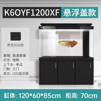 龍魚缸燈光布置的最佳實(shí)踐（在布置龍魚缸的燈光時(shí)需要考慮燈光的類型、位置以及光照時(shí)間等因素）