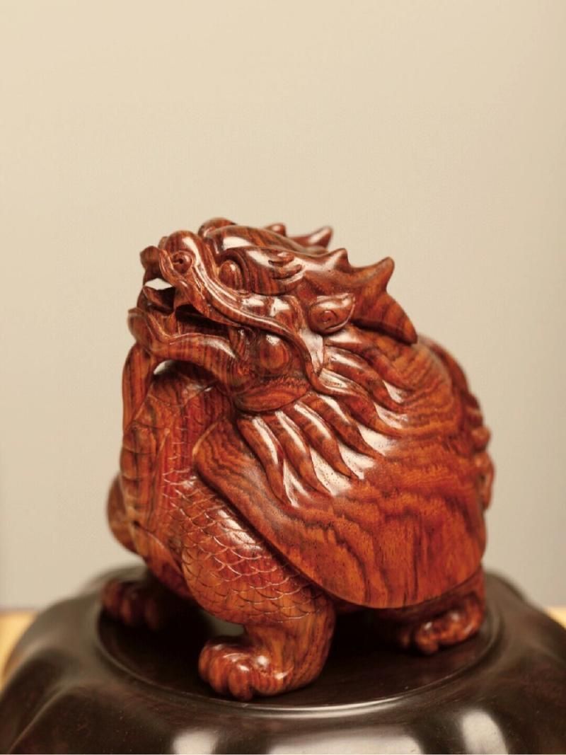 龍龜圖片大全大圖