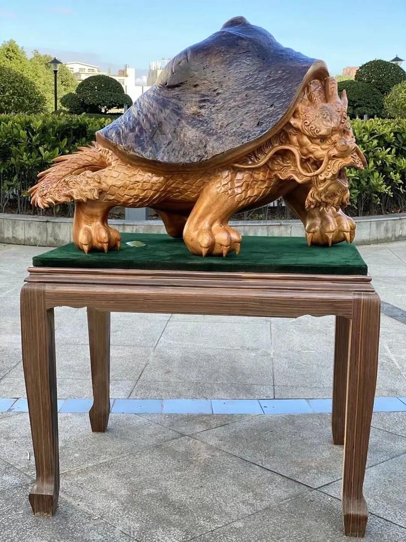 龍龜圖片大全大圖