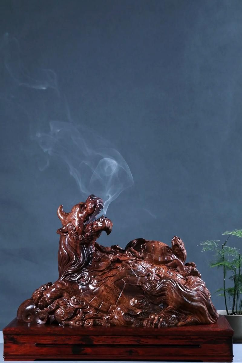 龍龜圖片大全大圖