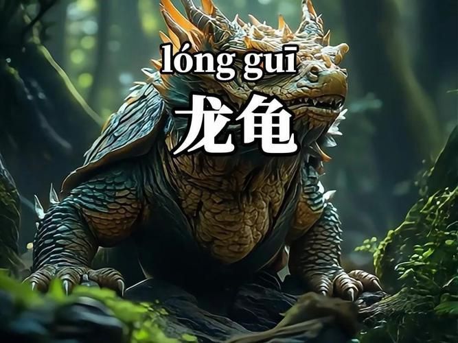 龍龜圖片大全大圖