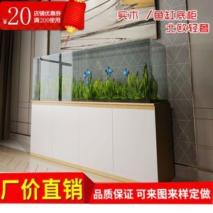 超白缸養龍魚怎么養的：超白缸養龍魚怎么養