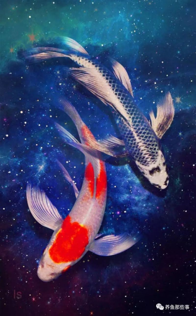 金魚身上潰爛能自愈嗎
